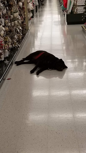 Craft Store «Hobby Lobby», reviews and photos, 6718 Gilmore Rd, Hamilton, OH 45011, USA