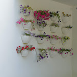 Photo n°11 de l'avis de Philippe.E fait le 13/08/2019 à 20:42 sur le  Quinta da Pacheca à Lamego