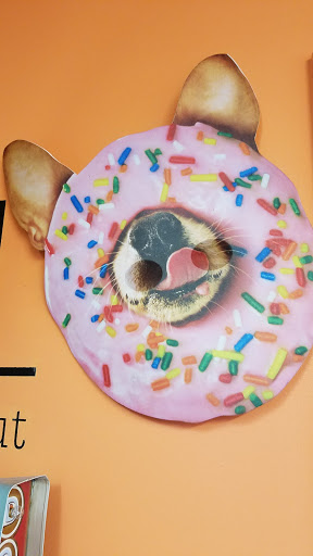 Dessert Shop «Honey Creme Donut Shop», reviews and photos, 514 Vincennes St, New Albany, IN 47150, USA