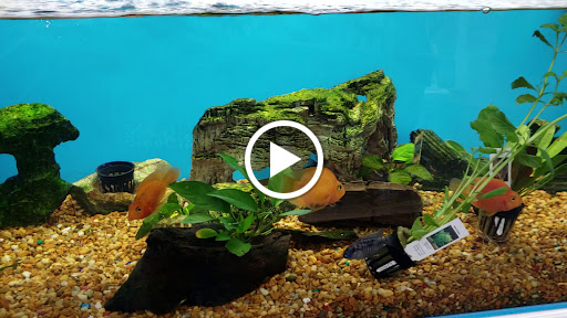 Pet Store «Pet Supermarket», reviews and photos, 9798 Glades Rd, Boca Raton, FL 33434, USA