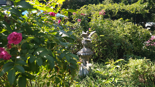 Vineyard «Diamond Hill Vineyards», reviews and photos, 3145 Diamond Hill Rd, Cumberland, RI 02864, USA