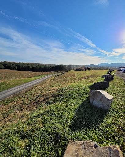 Winery «Blue Valley Vineyard And Winery», reviews and photos, 9402 Justice Ln, Delaplane, VA 20144, USA