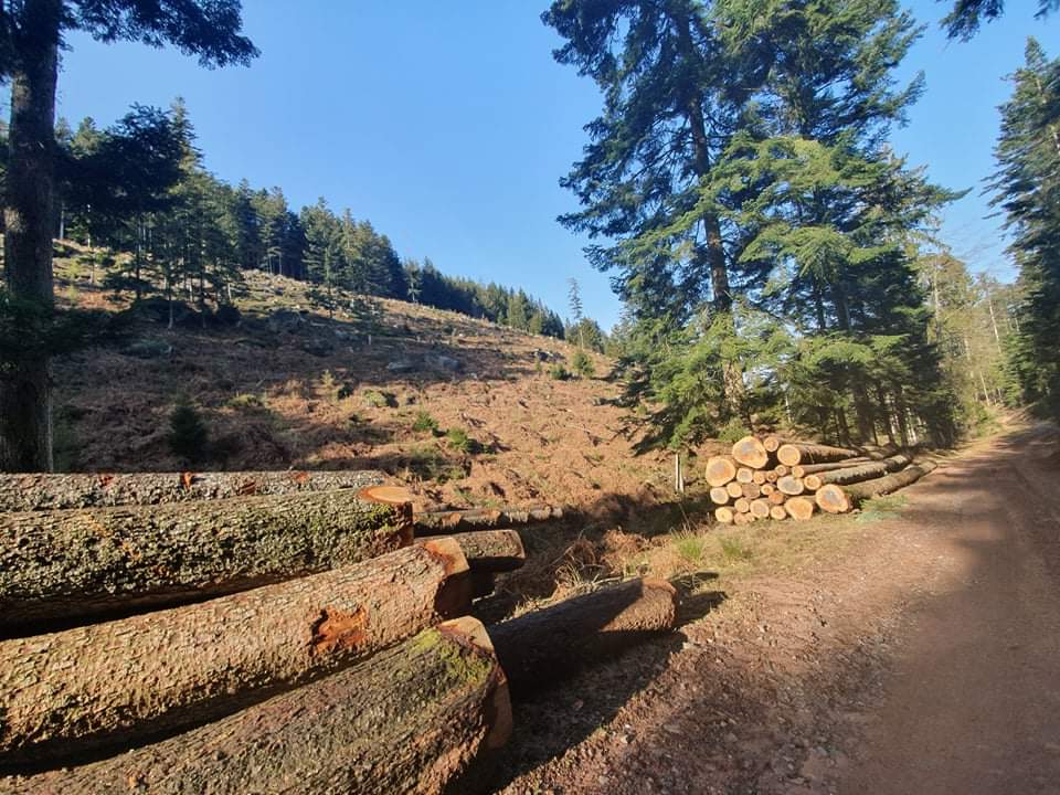 Photo n° 13 de l'avis de Magalie.a fait le 10/02/2020 à 19:38