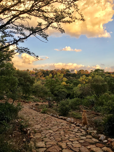 The Wilds Nature Reserve