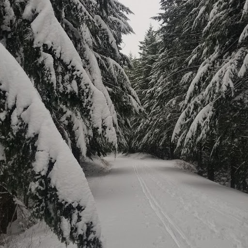 Mortgage Broker «Stonebridge Mortgage Group Inc.», reviews and photos