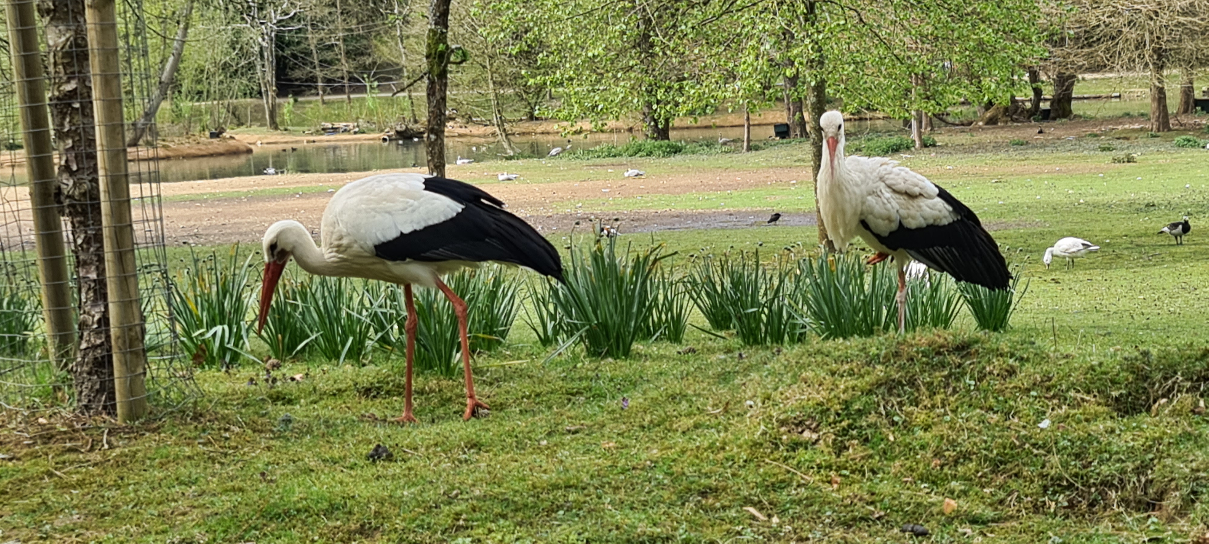 Photo n° 2 de l'avis de RENE.E fait le 14/04/2022 à 17:15