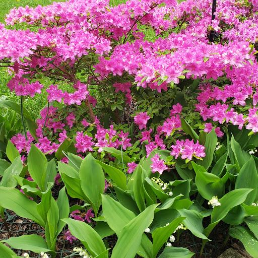 Lurgan Greenhouse in Orrstown, Pennsylvania Zaubee