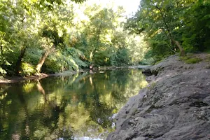 Wissahickon Creek image
