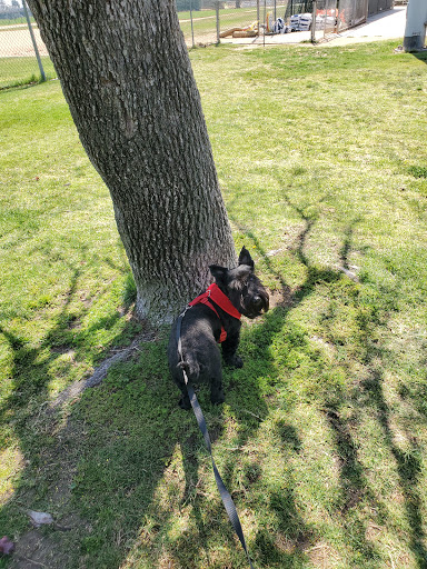 Park «Oak Knoll Park», reviews and photos, 9600 Graham St, Cypress, CA 90630, USA