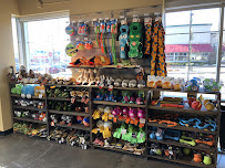 Chuck & Don's Pet Food & Supplies - Photo 7 - Car repair in Chanhassen, MN, Minneapolis