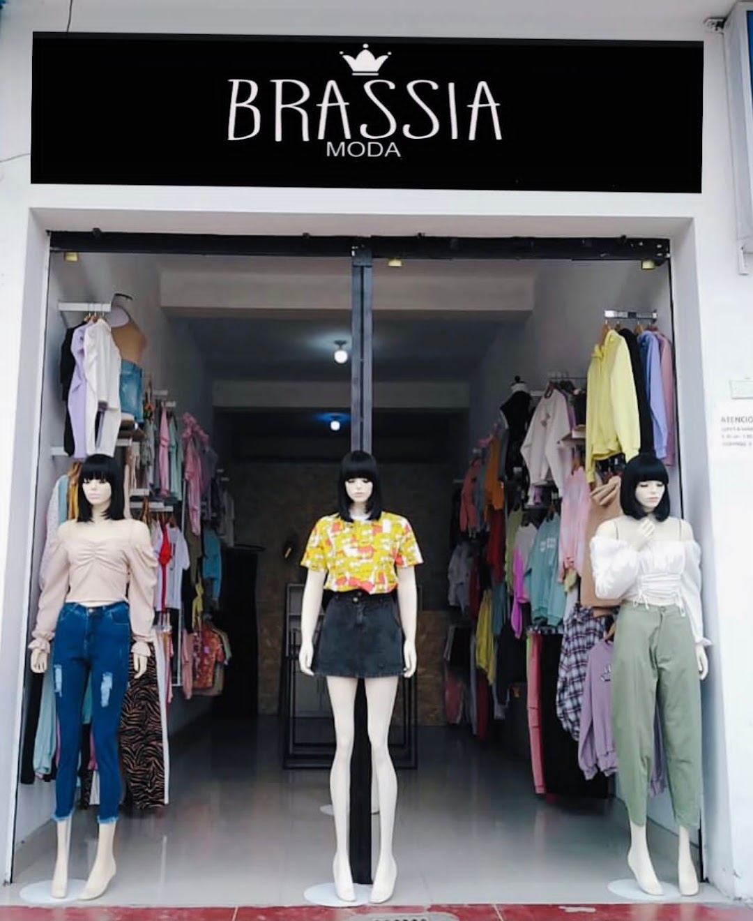 Brassia moda