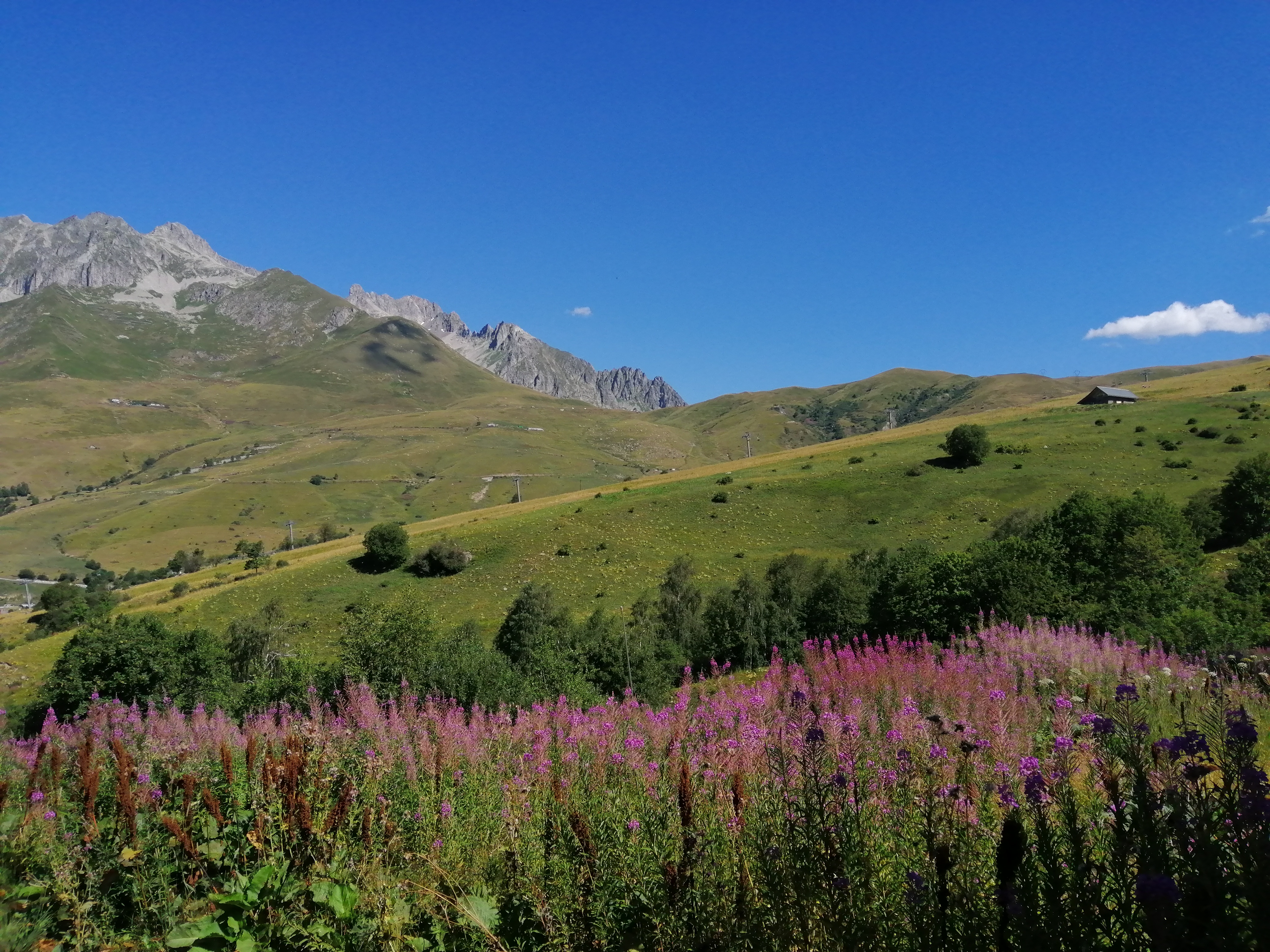 Photo n° 2 de l'avis de Nicolas.r fait le 01/09/2019 à 09:52