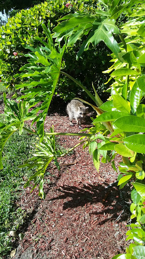 Park «Winston Park Nature Center», reviews and photos, 5201 NW 49th Ave, Coconut Creek, FL 33073, USA