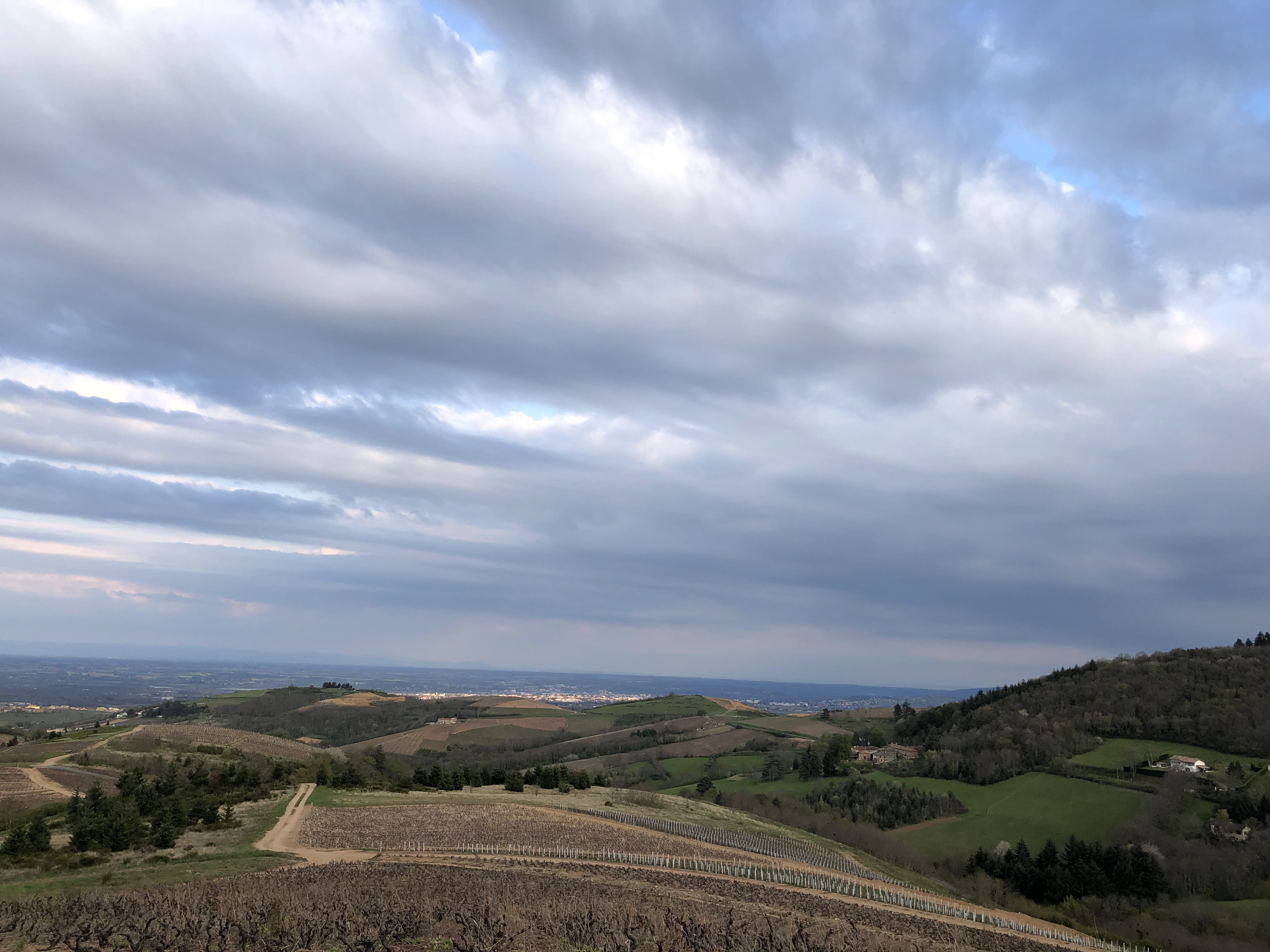 Photo n° 1 de l'avis de Dorota.m fait le 23/04/2021 à 17:49
