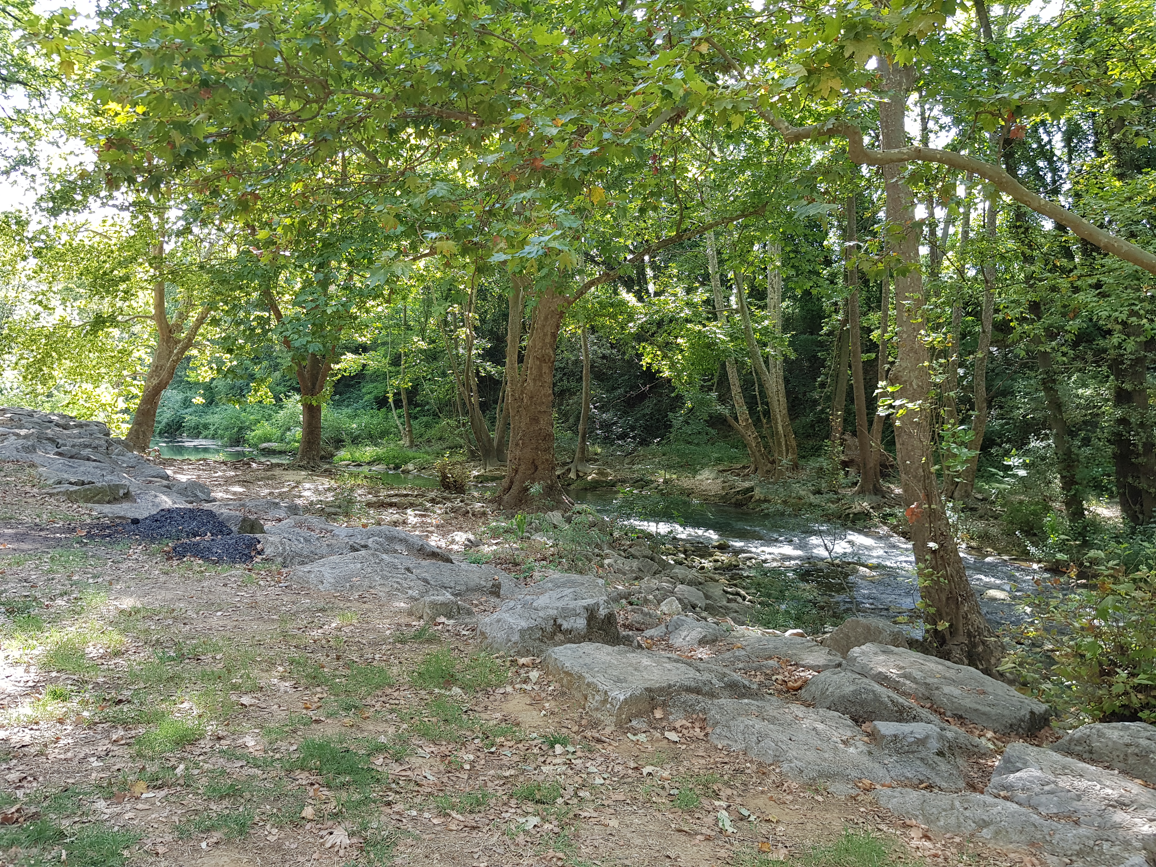 Photo n° 7 de l'avis de Bruno.S fait le 06/08/2019 à 15:24
