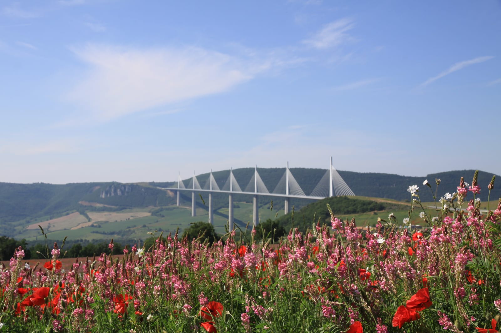 Photo n° 1 de l'avis de georges.e fait le 21/06/2021 à 12:57