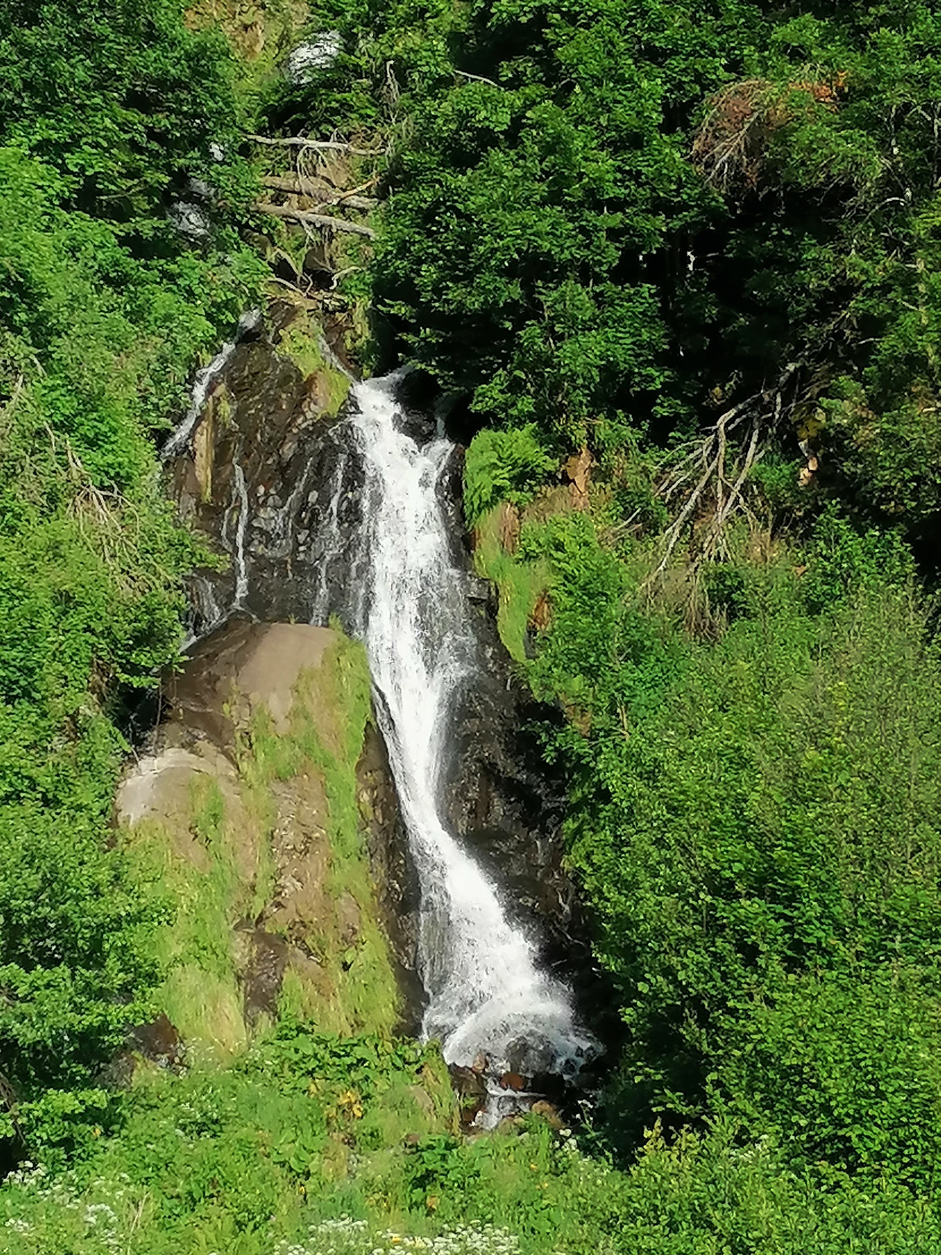Photo n° 35 de l'avis de Toni. fait le 15/06/2023 à 19:10
