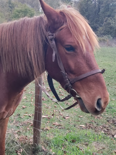 Armonia Hellenic Farm - Εργαστήριο
