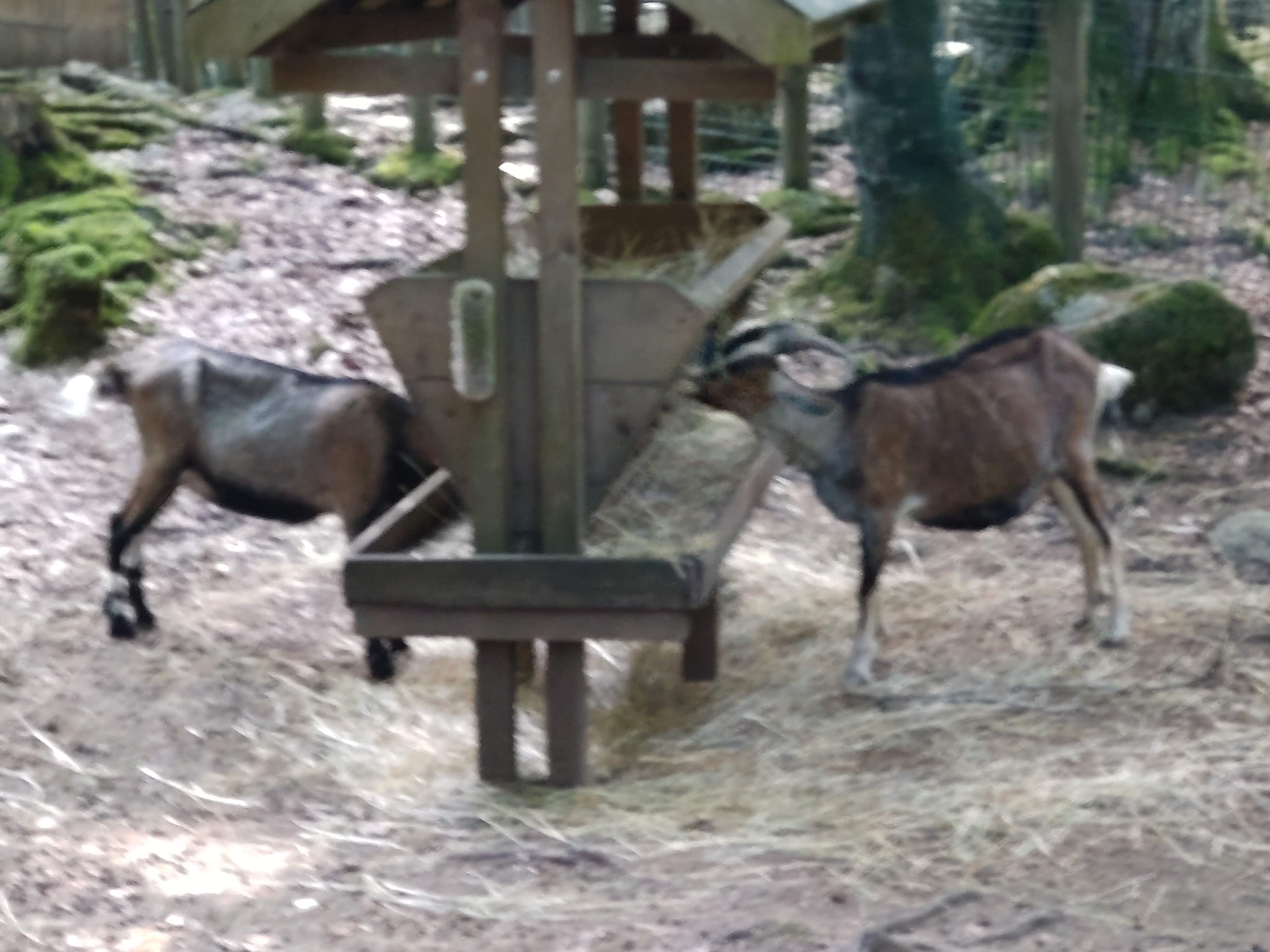 Photo n° 4 de l'avis de Christine.u fait le 11/08/2022 à 10:08