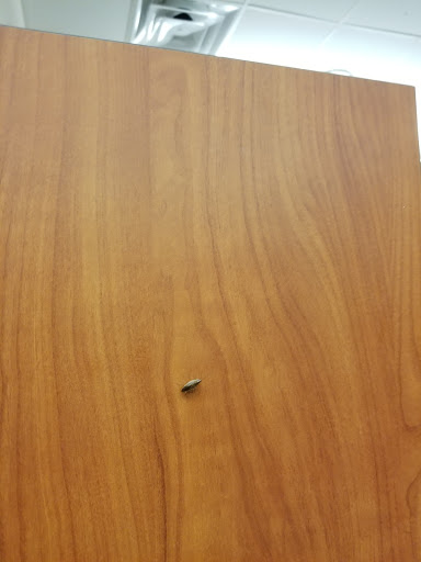 Gym «24 Hour Fitness», reviews and photos, 3501 Garth Rd, Baytown, TX 77521, USA