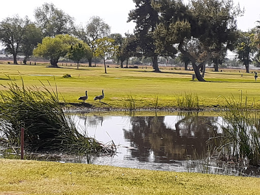 Golf Course «Lemoore Golf Course», reviews and photos, 350 Iona Ave, Lemoore, CA 93245, USA