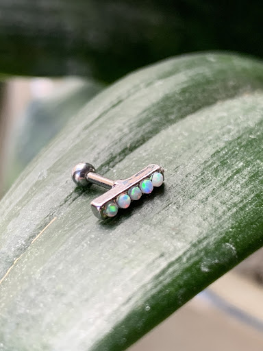 Explore waterfowl tattoo ideas, creative tattoo ideas in Aberdeen, available at Branded Tattoo and Piercing