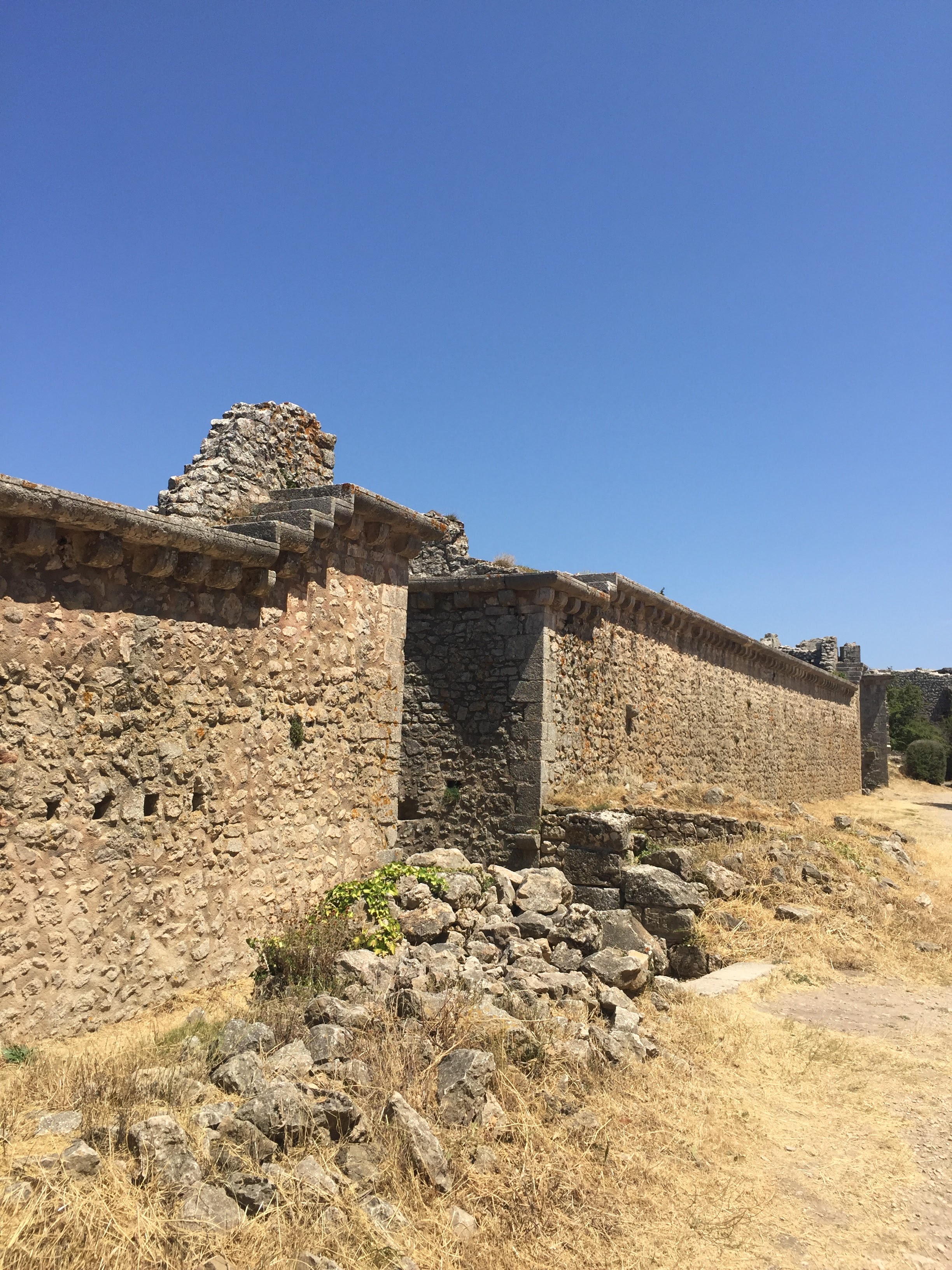 Photo n° 9 de l'avis de Renata.A fait le 29/07/2022 à 08:43