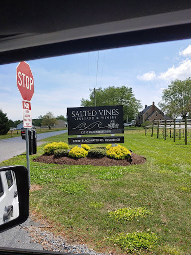 Winery «Salted Vines Vineyard & Winery», reviews and photos, 32512 Rd 374, Frankford, DE 19945, USA
