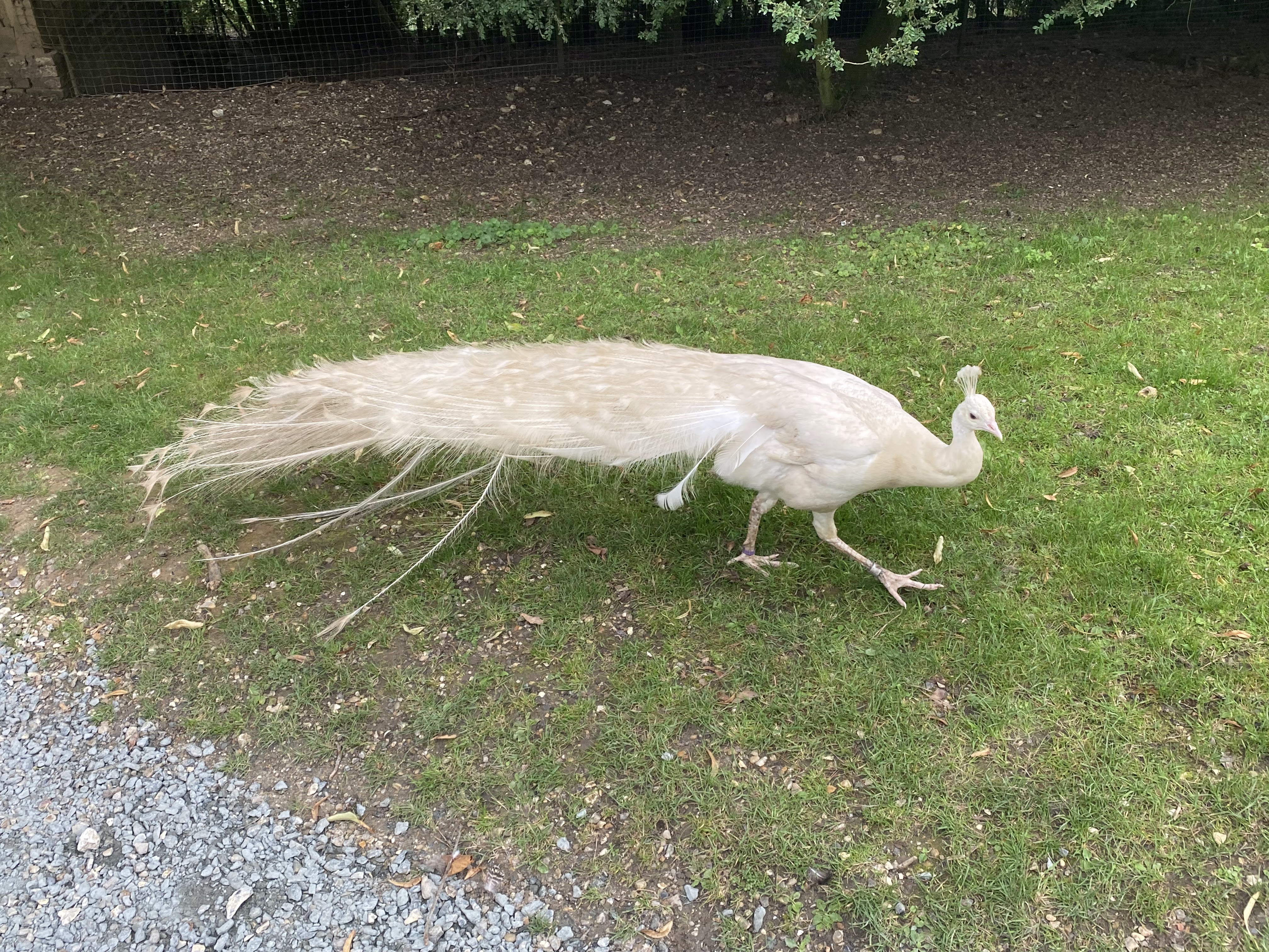 Photo n° 21 de l'avis de Mickael.e fait le 11/08/2023 à 05:54