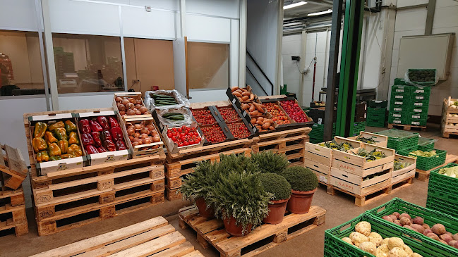 Rezensionen über foodextra gmbh in Zürich - Bioladen