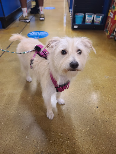 Pet Supply Store «PetSmart», reviews and photos, 7730 S Cicero Ave, Burbank, IL 60459, USA