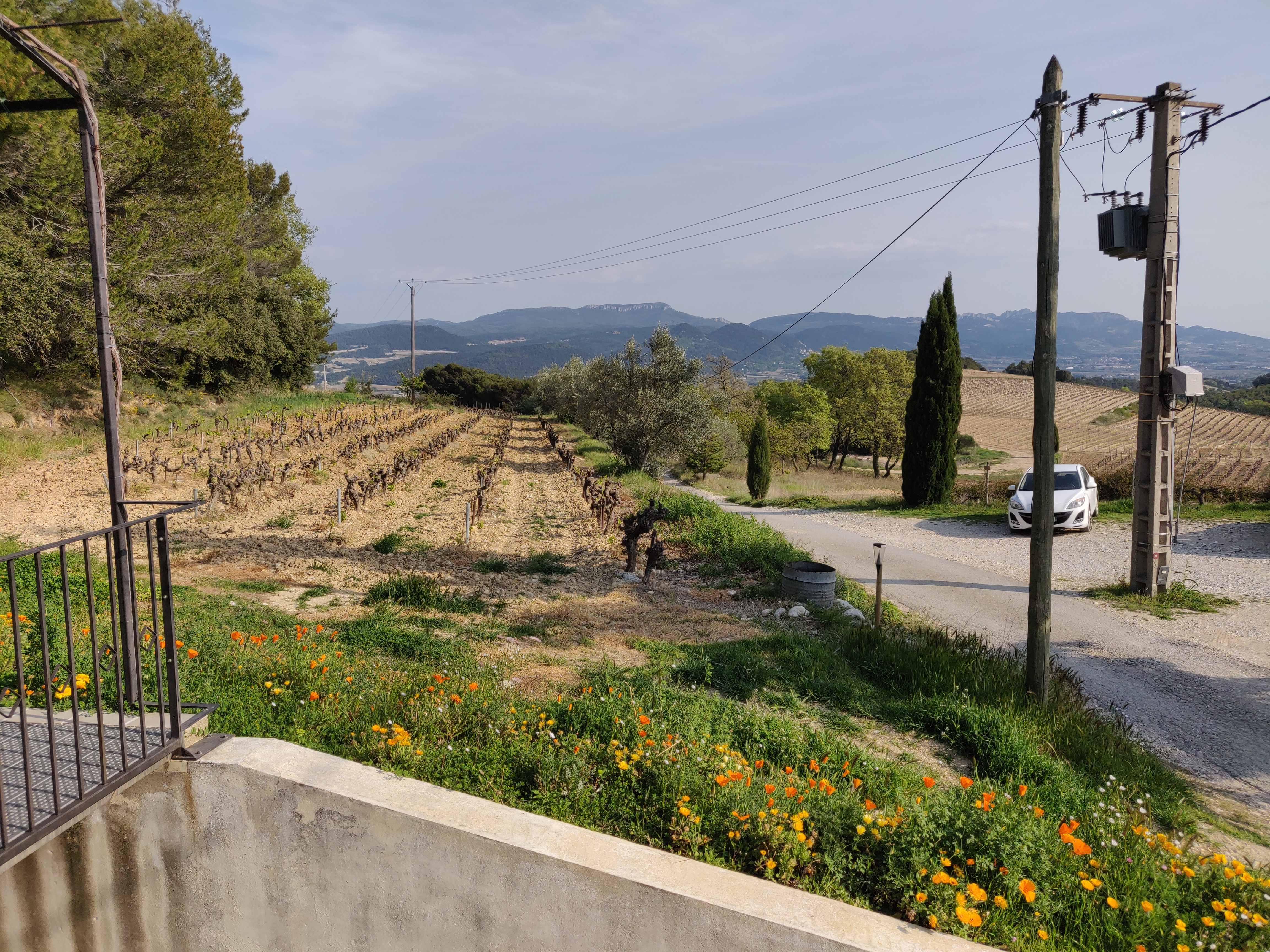 Photo n° 1 de l'avis de Tom.a fait le 19/04/2019 à 15:34