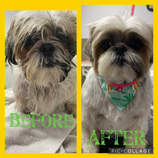 Pet Store «DipidyDawg Gourmet Dog Bakery & Boutique», reviews and photos, 21301 S Tamiami Trail Suite 430, Estero, FL 33928, USA