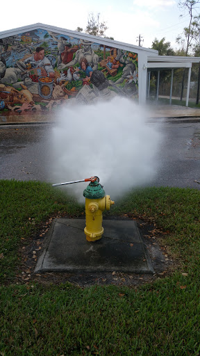 Museum «Old Davie School Historical Museum», reviews and photos, 6650 Griffin Rd, Davie, FL 33314, USA