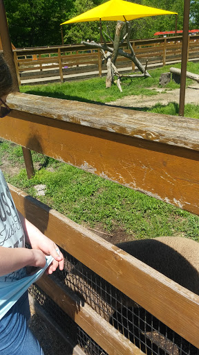 Zoo «Niabi Zoo», reviews and photos, 13010 Niabi Zoo Rd, Coal Valley, IL 61240, USA