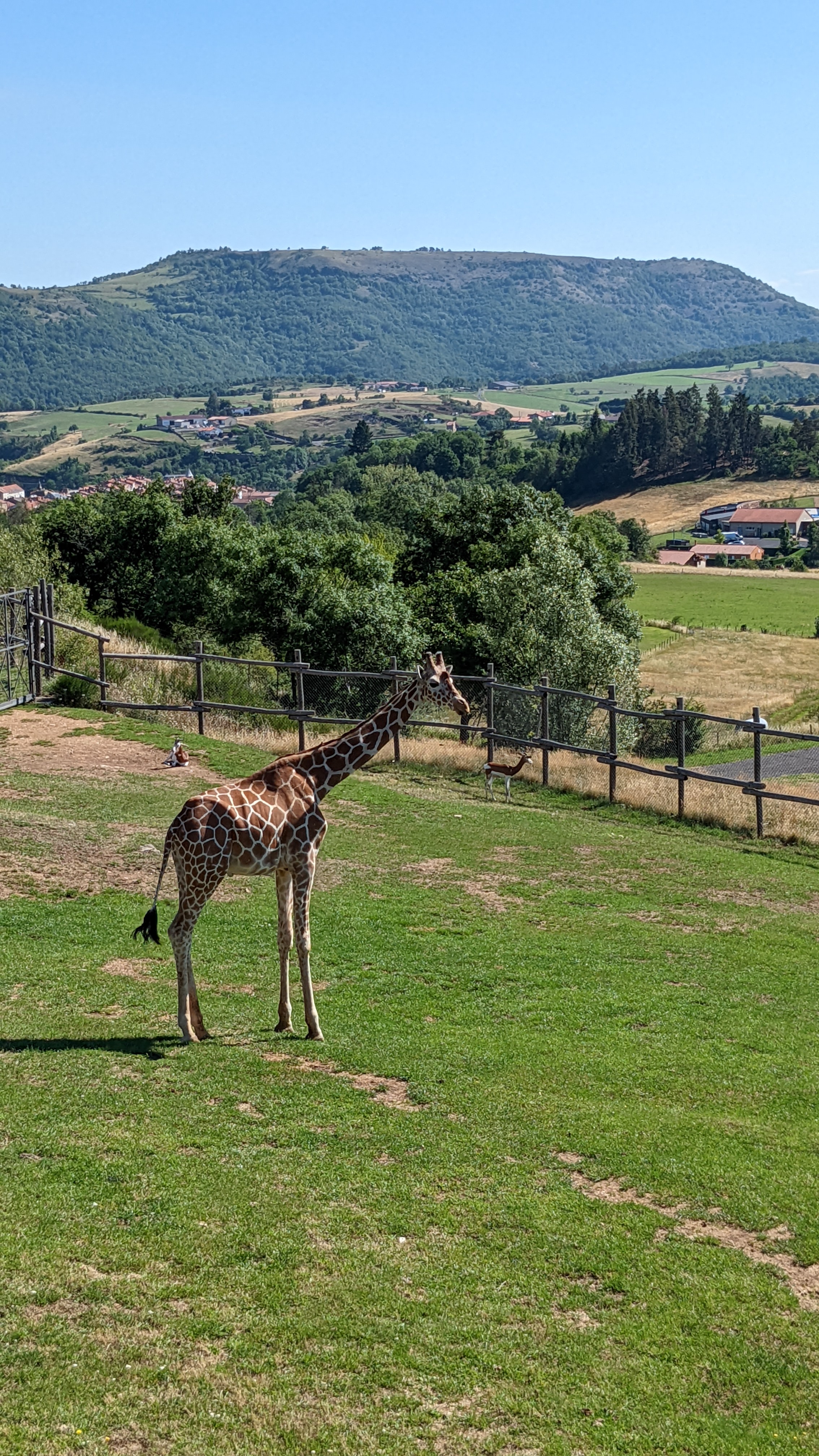 Photo n° 5 de l'avis de Patrice.a fait le 05/07/2022 à 18:27