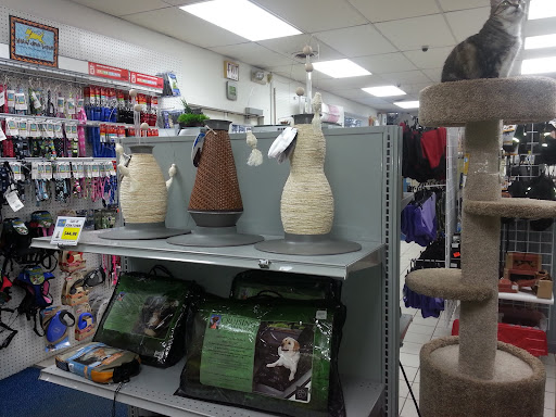 Pet Store «Laconia Pet Center», reviews and photos, 1343 Union Ave, Laconia, NH 03246, USA
