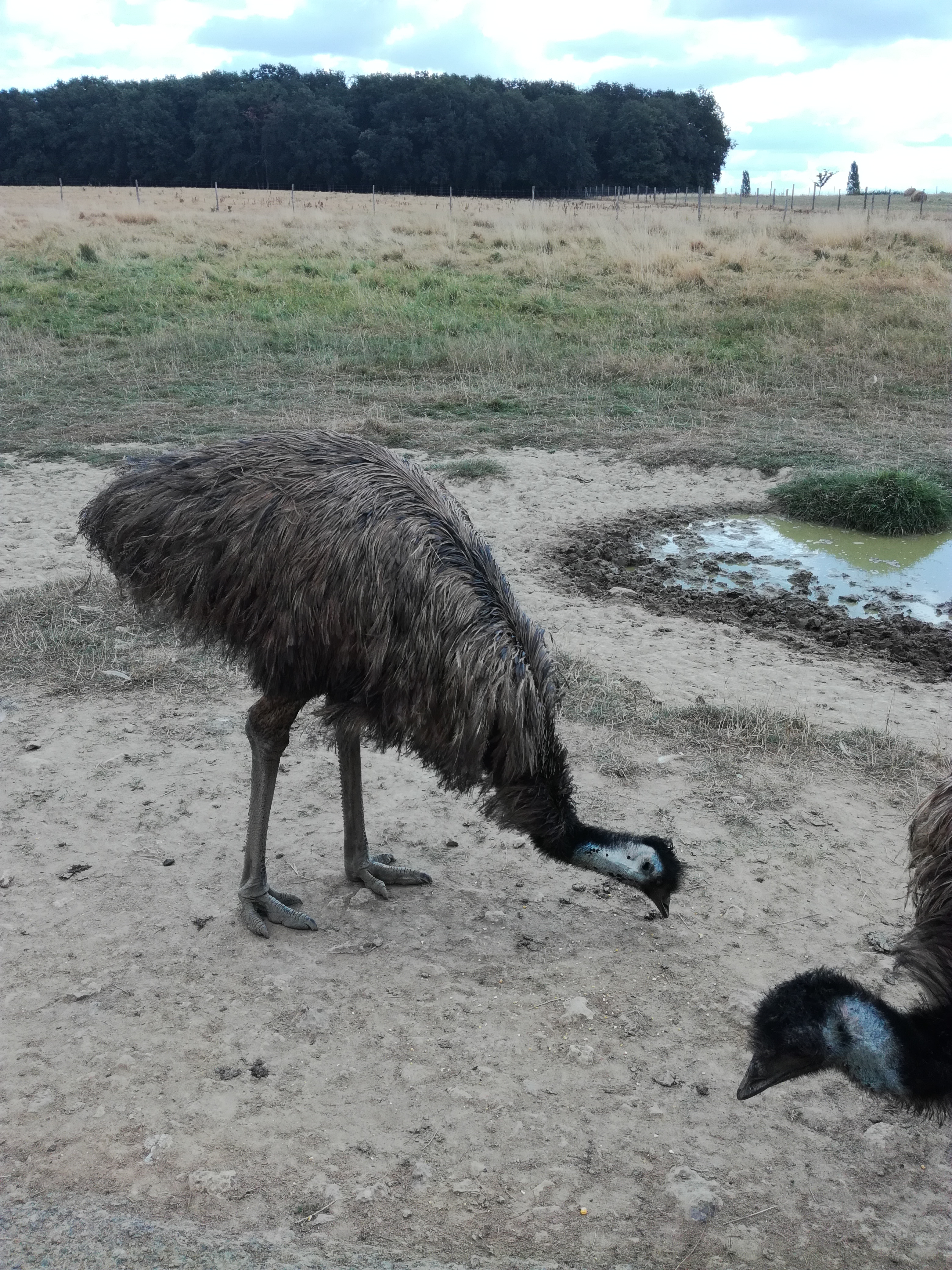 Photo n° 2 de l'avis de Chochotte.5 fait le 18/08/2018 à 19:13