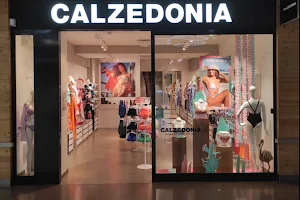 Calzedonia image