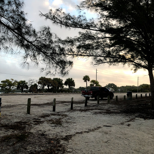 Horseback Riding Service «BeachHorses.com», reviews and photos, 8400 Manatee Ave W, Bradenton, FL 34209, USA