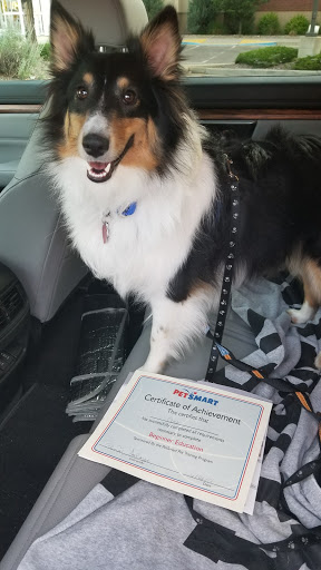 Pet Supply Store «PetSmart», reviews and photos, 1125 Hover St, Longmont, CO 80501, USA