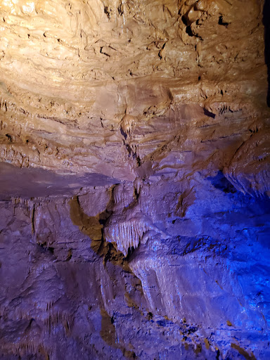 Tourist Attraction «Indiana Caverns», reviews and photos, 1267 Green Acres Dr SW, Corydon, IN 47112, USA