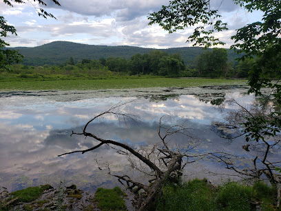 Lake Runnenede