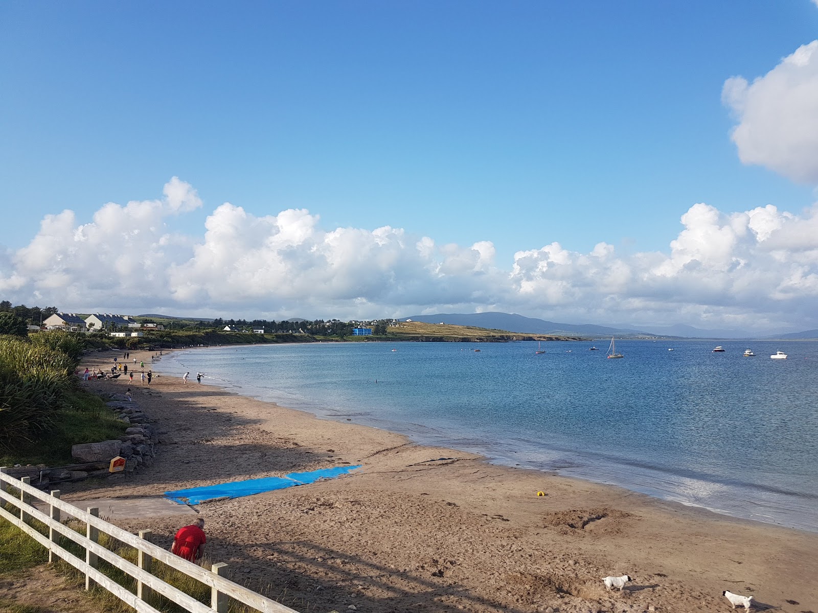 Ballinskelligs Beach photo #9