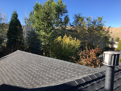 Tom Fiori Roof Services in Reno, Nevada