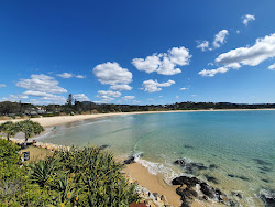 Scotts Head Beach'in fotoğrafı ve yerleşim