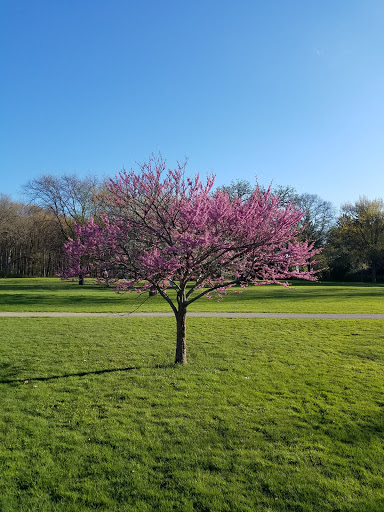 Golf Course «New Berlin Hills Golf Course», reviews and photos, 13175 W Graham St, New Berlin, WI 53151, USA