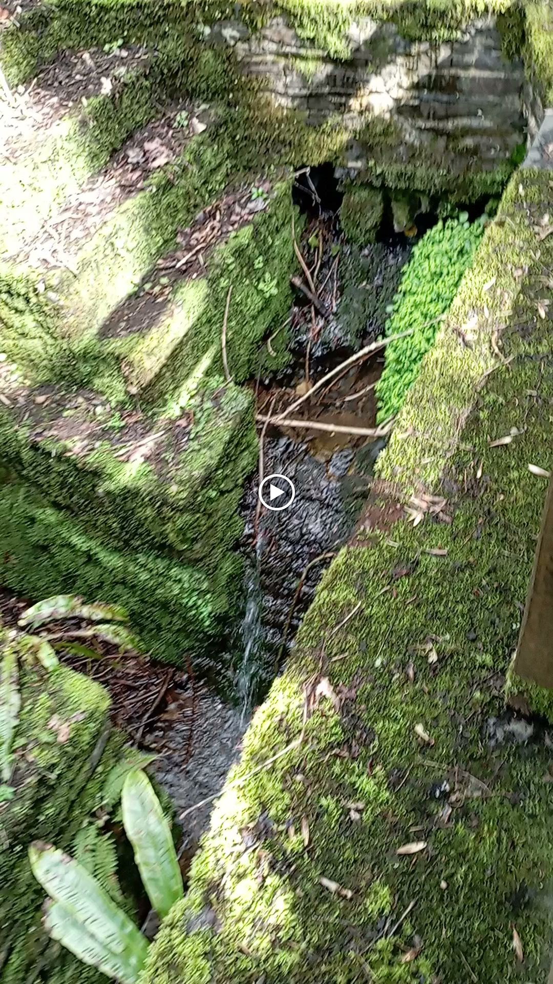 Photo n° 2 de l'avis de Christophe.u fait le 24/03/2024 à 14:47