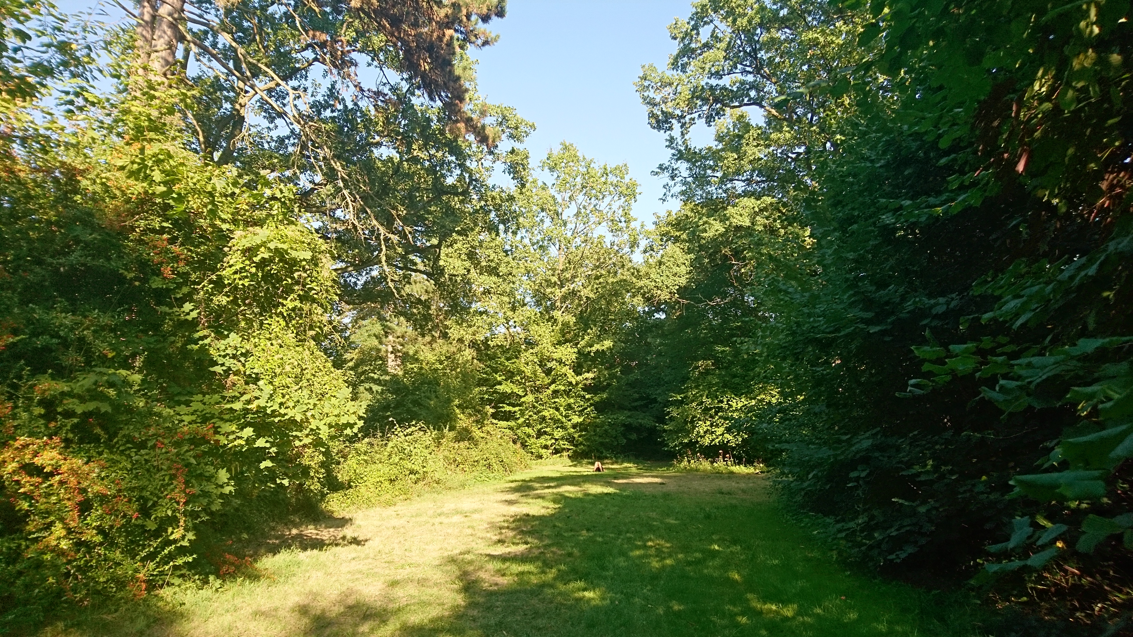 Photo n° 3 de l'avis de Yami.o fait le 05/09/2018 à 12:03