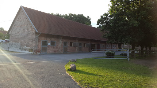 Dr.med.vet. Victor Baltus Veterinary clinic unter Dülmen, Nordrhein-Westfalen